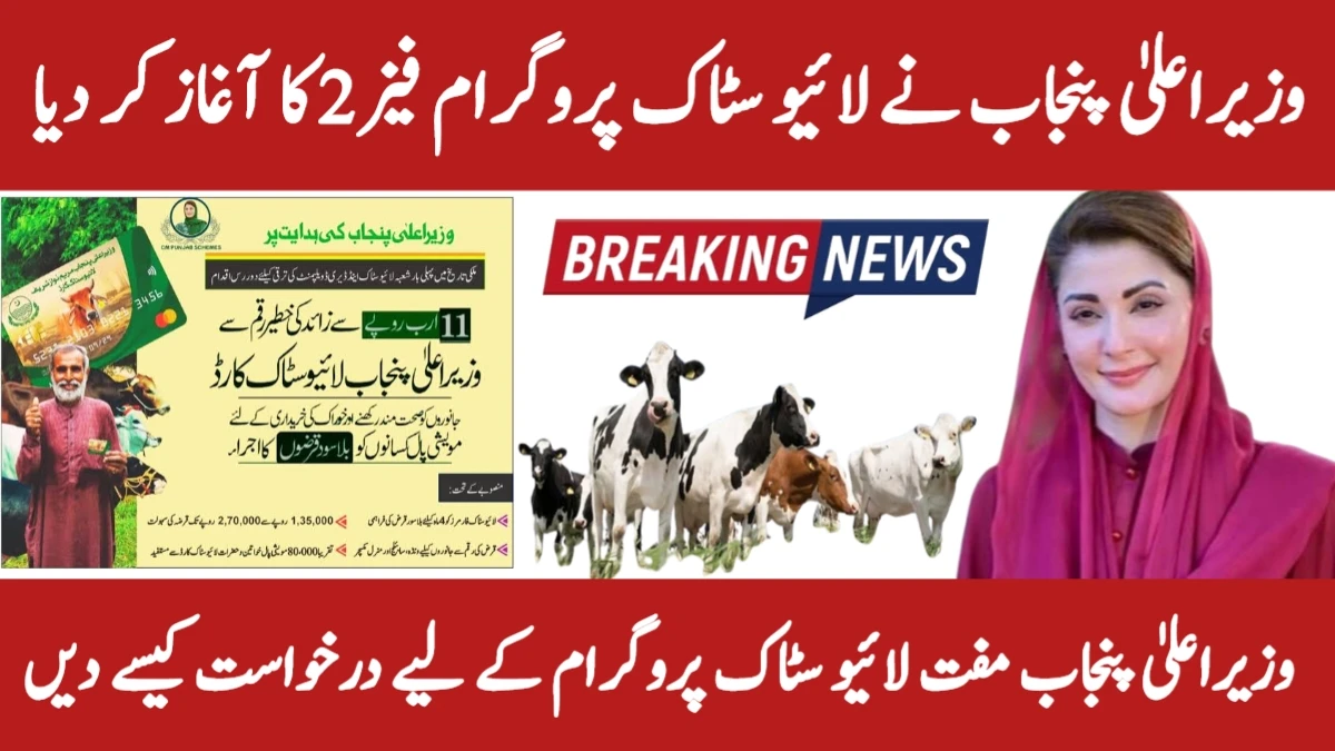 CM Punjab Livestock Program 2025 Phase 2