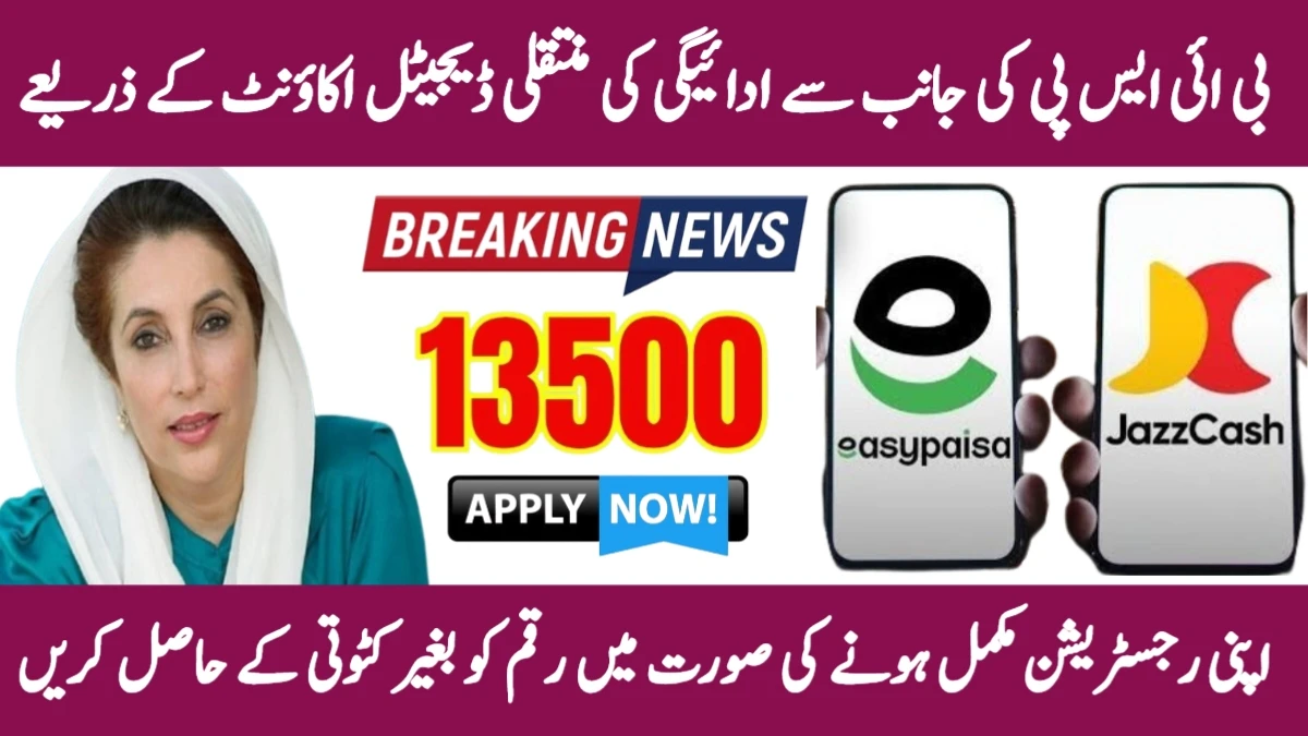 BISP Wallet Payments PIN Setup and Mobile Banking Guide