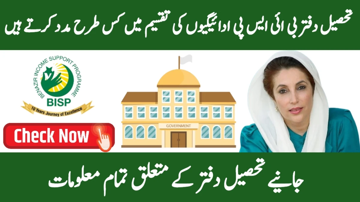 BISP Payment Distribution