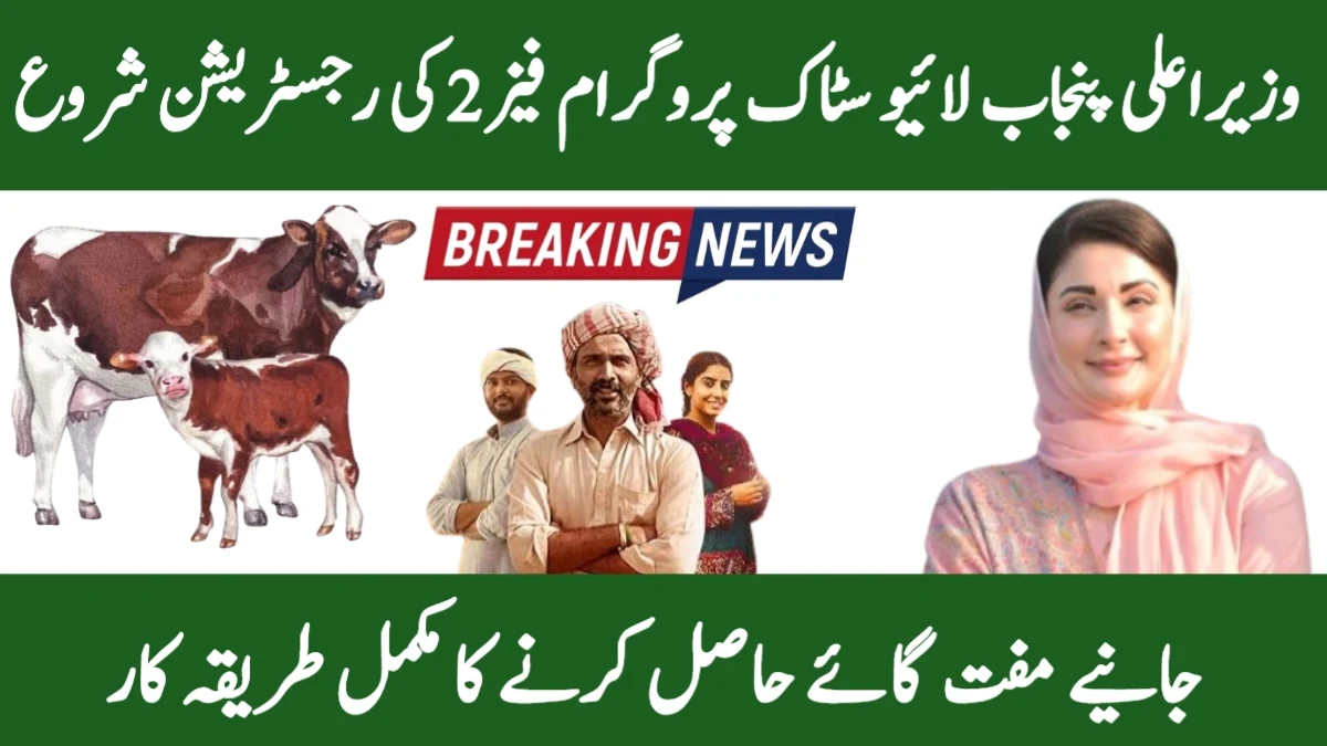 CM Punjab Livestock Program Phase 2 Registration 2025