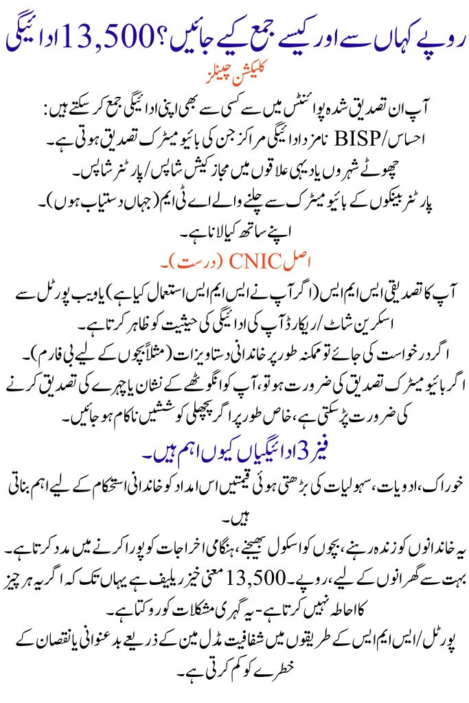 8171 Ehsaas Program: How to Check Eligibility and Payment Status Online and by SMS