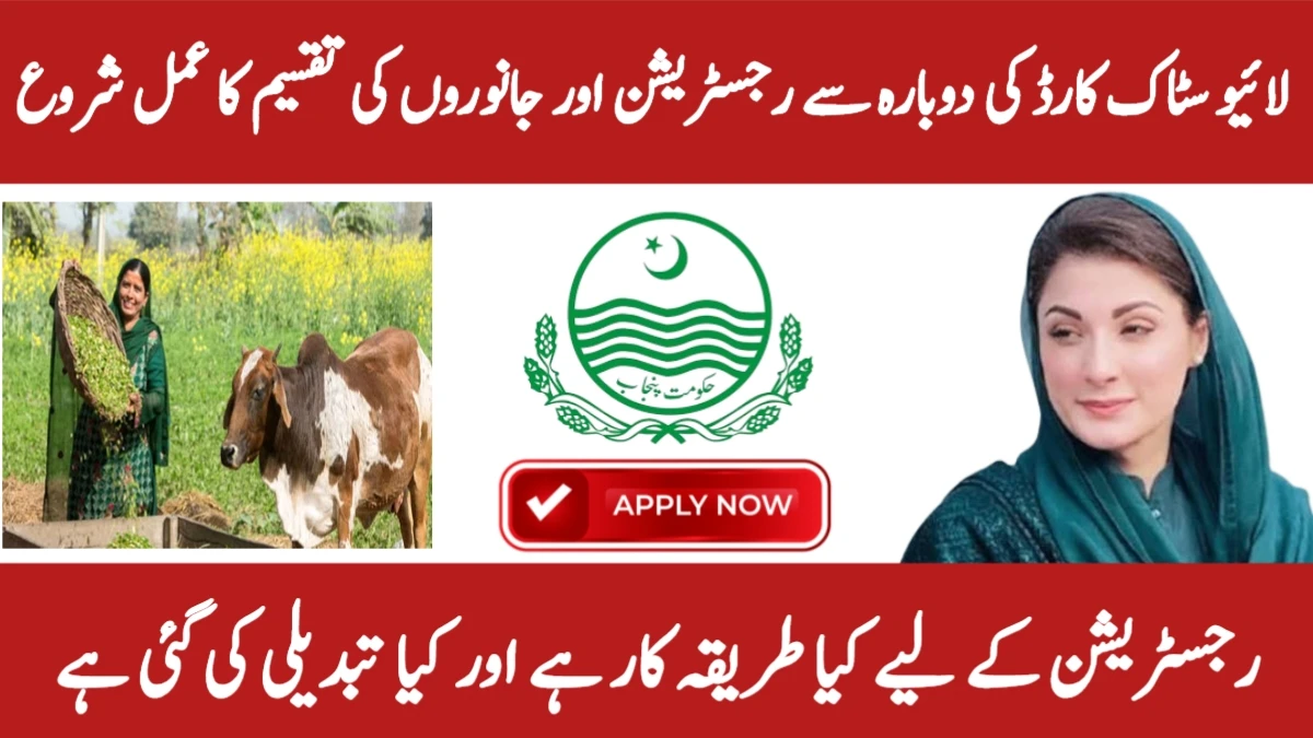 Punjab Livestock Distribution Program 2025