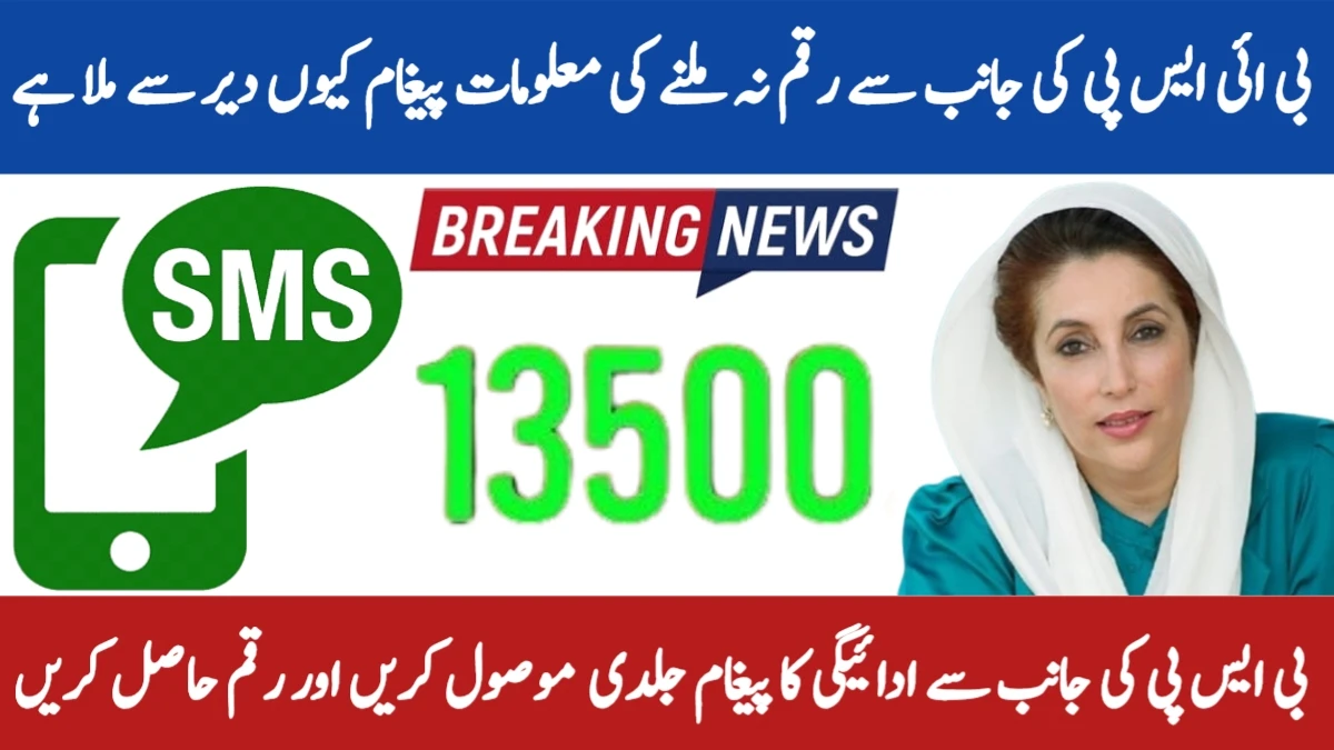 BISP 8171 Payment SMS Delay November 2025