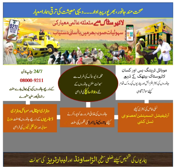 Maryam Nawaz’s Vision to Empower Rural Women in Punjab